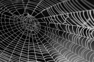 So, You&039;re Thinking About Web Hosting? Let&039;s Chat!